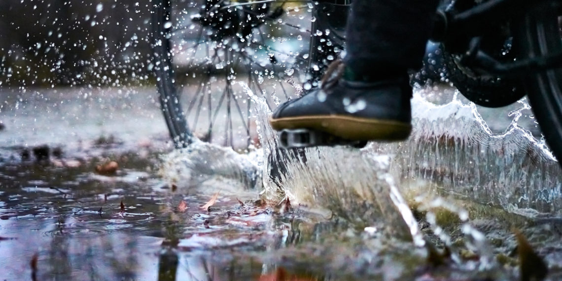 Heidelberger Radweg erhält Greenpeace-Auszeichnung