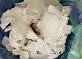 Warum Frauen* Pinky Gloves absolut nicht brauchen