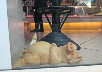 Podcasts zum Vergessen: Schlachter unter sich