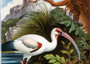 Kunst oder künstlich?