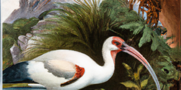 Kunst oder künstlich?