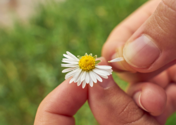 …und raus bist du!