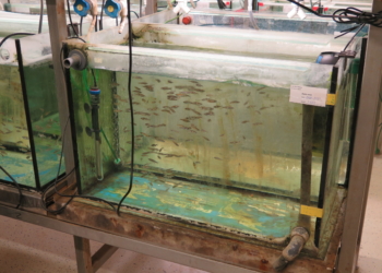 Tierversuche ohne Alternative?