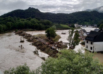 Künstlicher Wetterfrosch