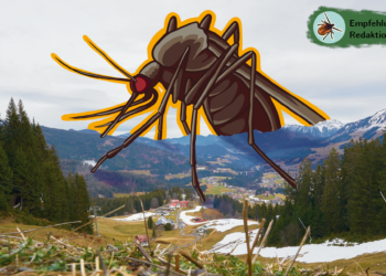 Heiße Viren suchen Wirte