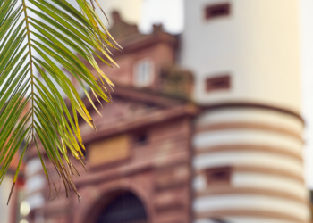 Wer im Treibhaus sitzt… 