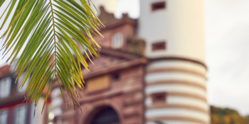 Wer im Treibhaus sitzt… 