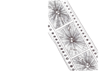 Erklär’s mir als wär ich fünf: Der Nobelpreis für Physik 2023