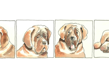 Ein Land geht vor die Hunde