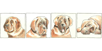 Ein Land geht vor die Hunde