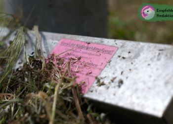 Ratatouilles Brüder