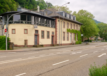 Phönix aus der Asche