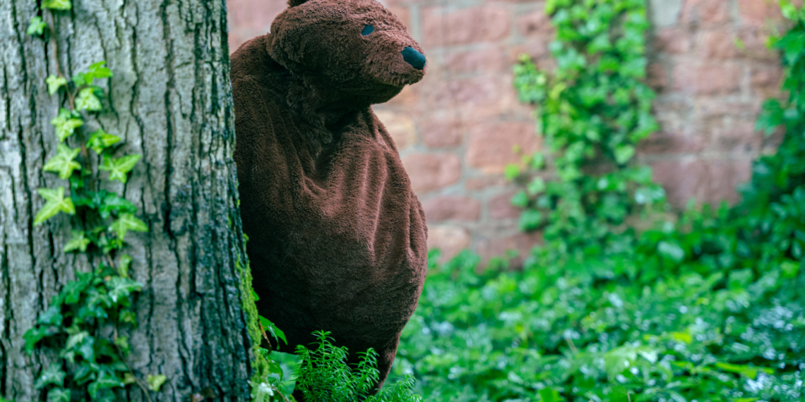 Lieber Bär als Mann?