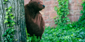 Lieber Bär als Mann?