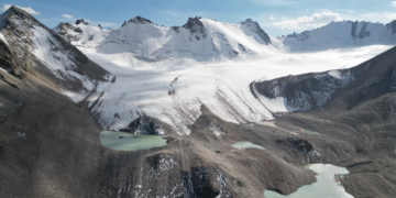 Nah am Dach der Welt