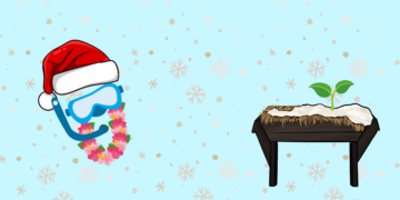 Mele Kalikimaka, Nollaig Shona und Feliz Navidad