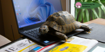 Striegeln, Streicheln und Studieren