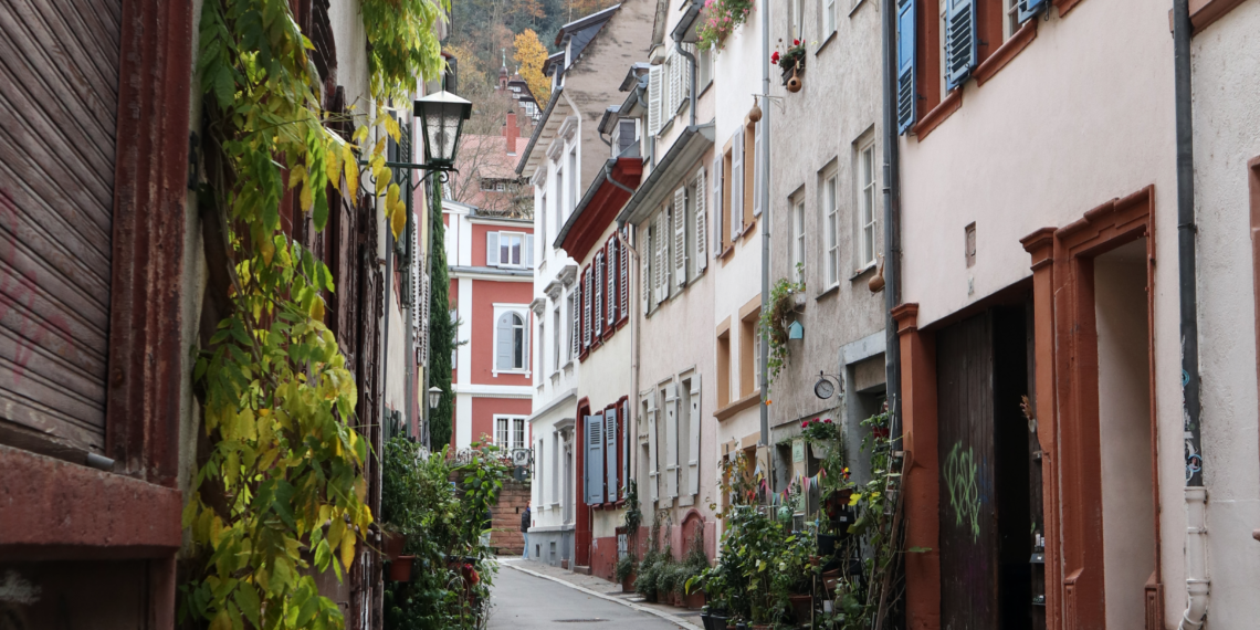 Gewinner des Fotowettbewerbs