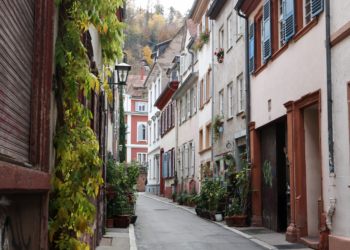 Gewinner des Fotowettbewerbs