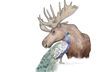 Survival of the Sexy