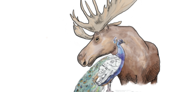 Survival of the Sexy