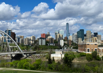 Ein Sommer voller Forschung 