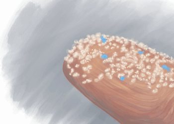 In Hoden und Boden 