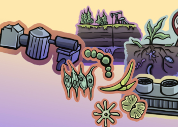 Wohin mit dem Kohlenstoff?