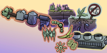 Wohin mit dem Kohlenstoff?