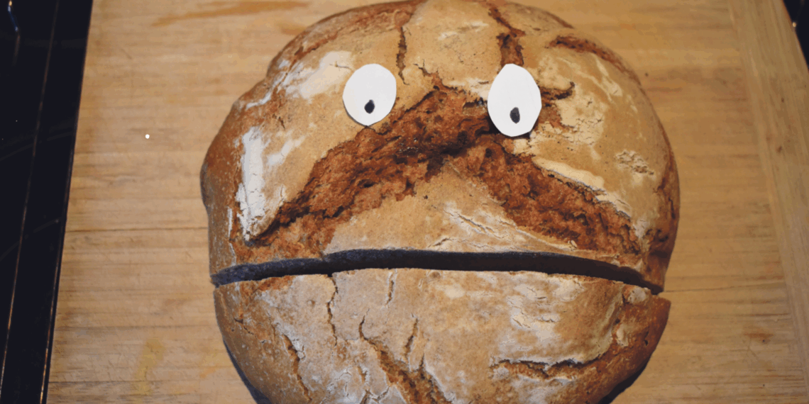 Ein Sauerteig als Mitbewohner 