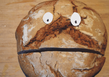 Ein Sauerteig als Mitbewohner 