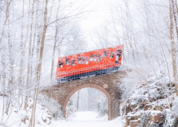 Ach wie schön ist Heidelberg …