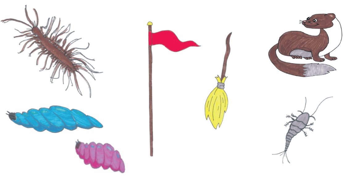 Liebesgrüße vom Silberfisch