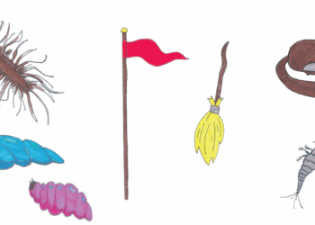 Liebesgrüße vom Silberfisch