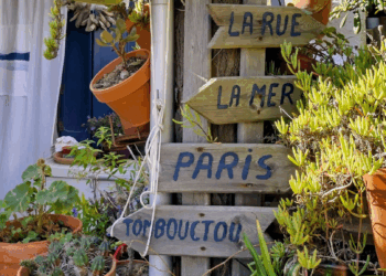 Reisende Sparfüchse: Argelès-sur-Mer