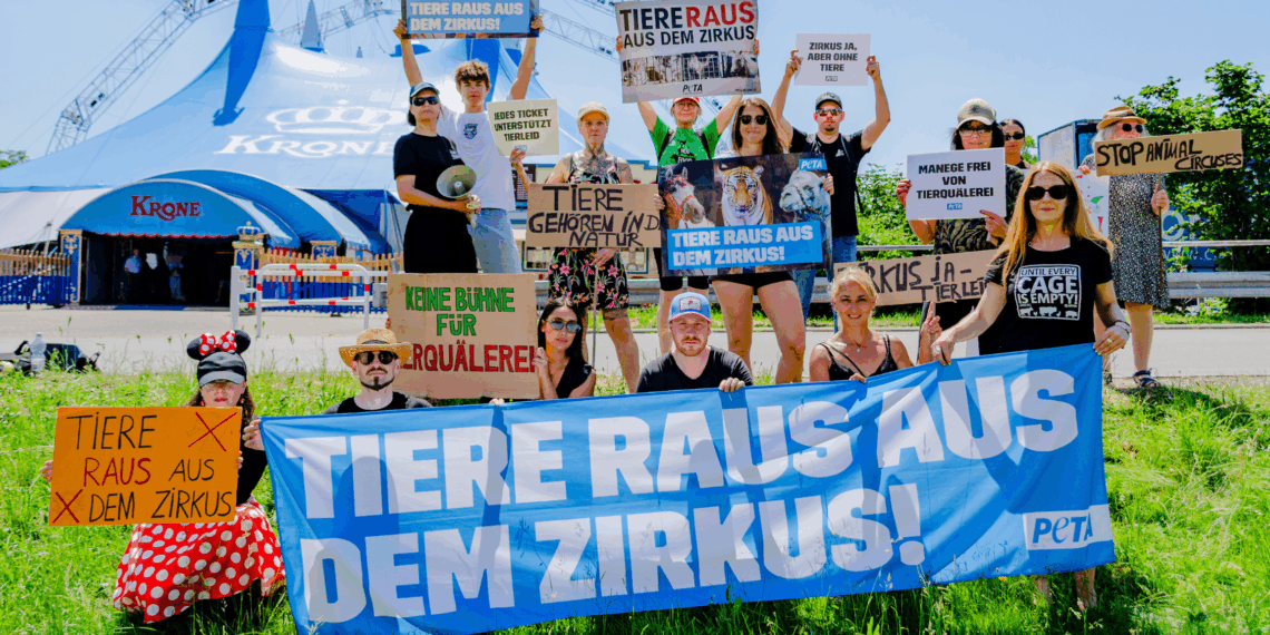 So ein Zirkus