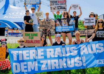 So ein Zirkus