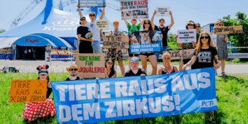 So ein Zirkus